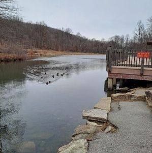 Meet your Posher, Roger